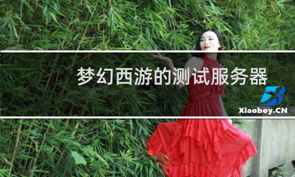 梦幻西游的测试服务器
