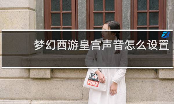梦幻西游皇宫声音怎么设置