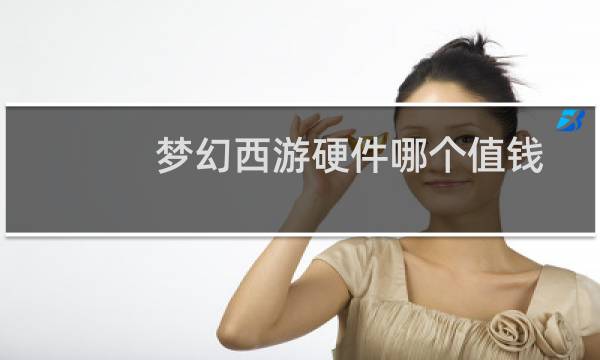 梦幻西游硬件哪个值钱