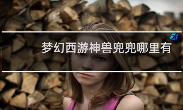 梦幻西游神兽兜兜哪里有