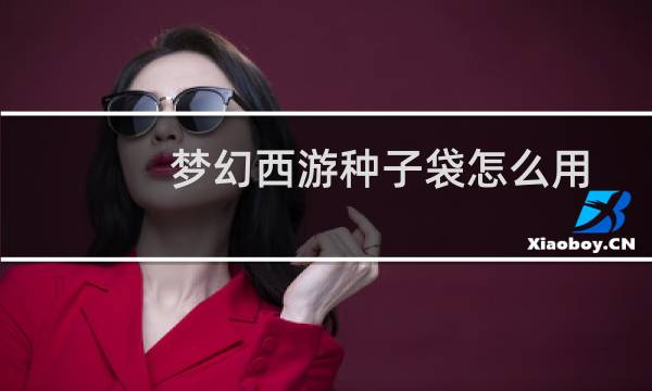 梦幻西游种子袋怎么用