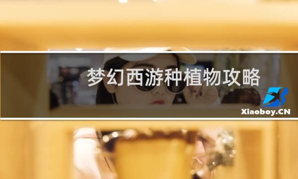 梦幻西游种植物攻略