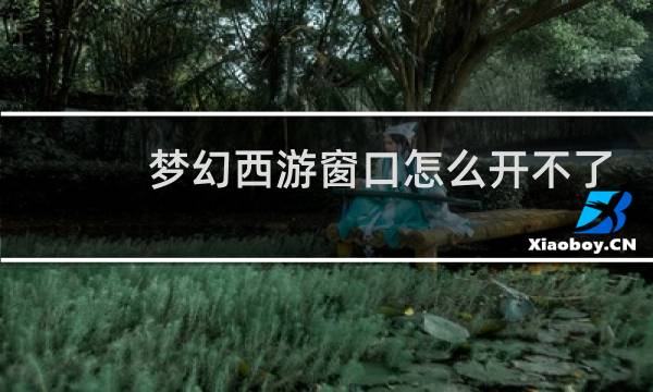 梦幻西游窗口怎么开不了