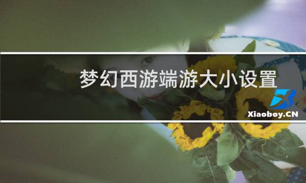 梦幻西游端游大小设置