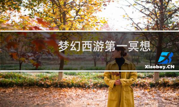 梦幻西游第一冥想
