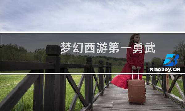 梦幻西游第一勇武