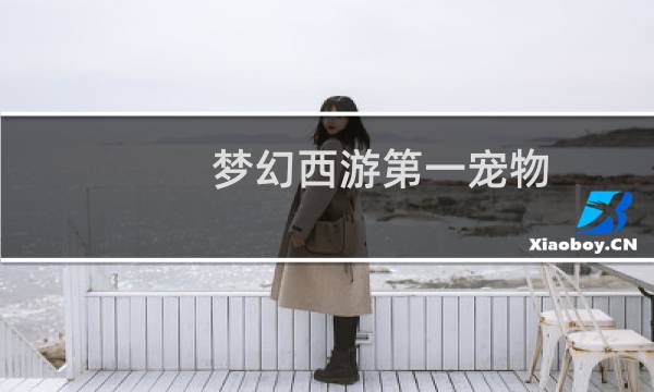 梦幻西游第一宠物