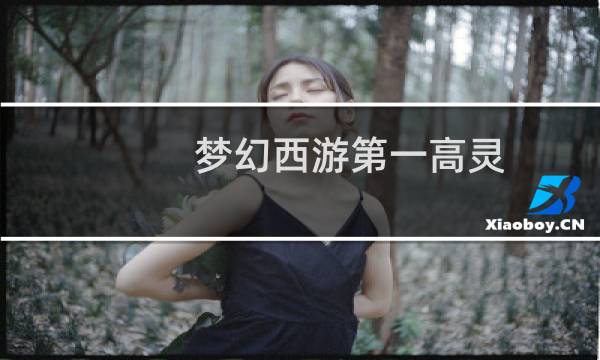 梦幻西游第一高灵