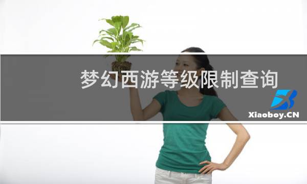 梦幻西游等级限制查询