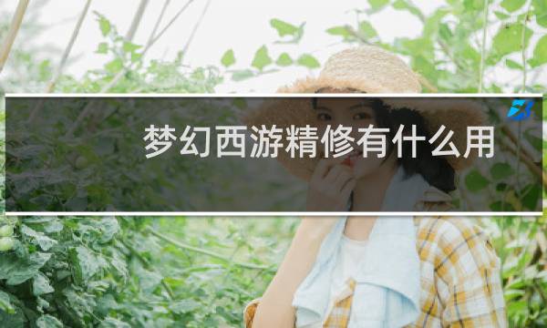 梦幻西游精修有什么用