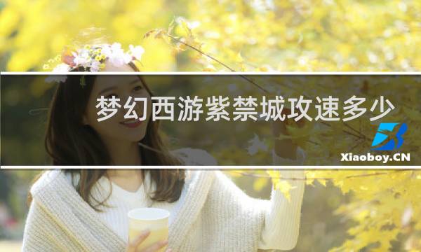 梦幻西游紫禁城攻速多少