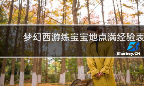 梦幻西游练宝宝地点满经验表