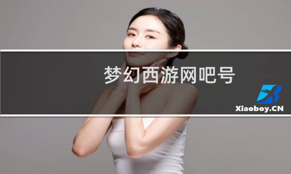 梦幻西游网吧号