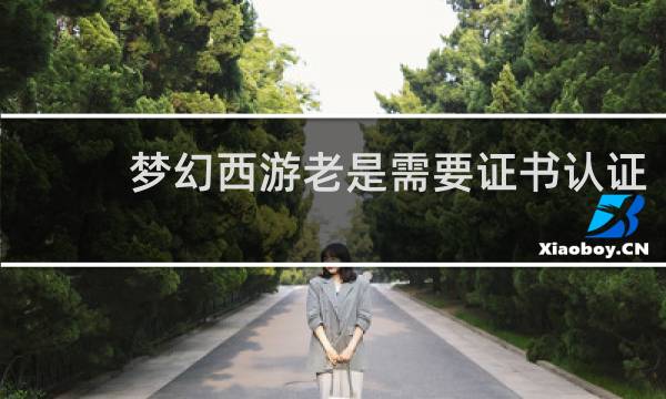 梦幻西游老是需要证书认证
