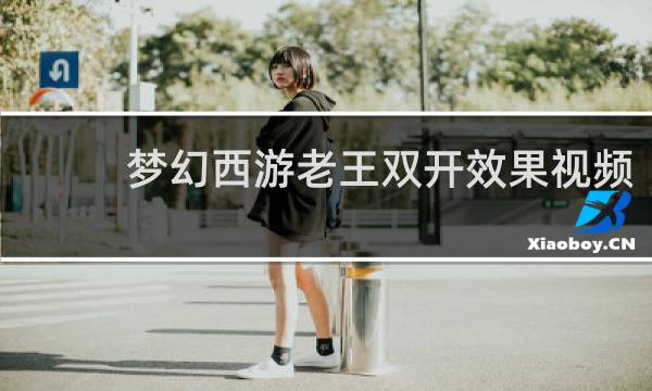 梦幻西游老王双开效果视频