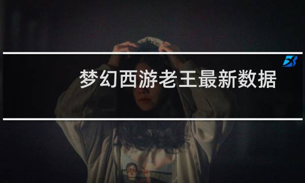 梦幻西游老王最新数据