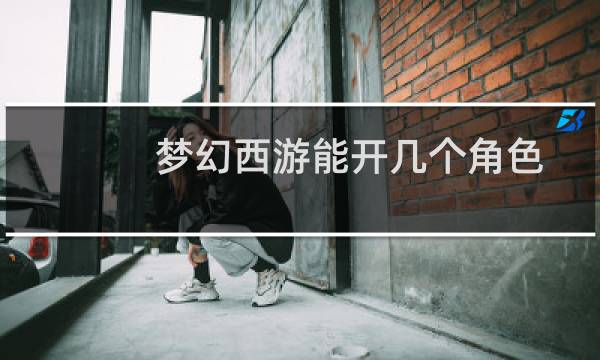 梦幻西游能开几个角色