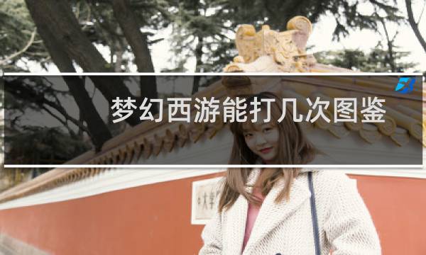 梦幻西游能打几次图鉴