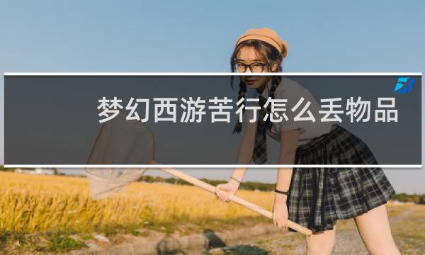 梦幻西游苦行怎么丢物品