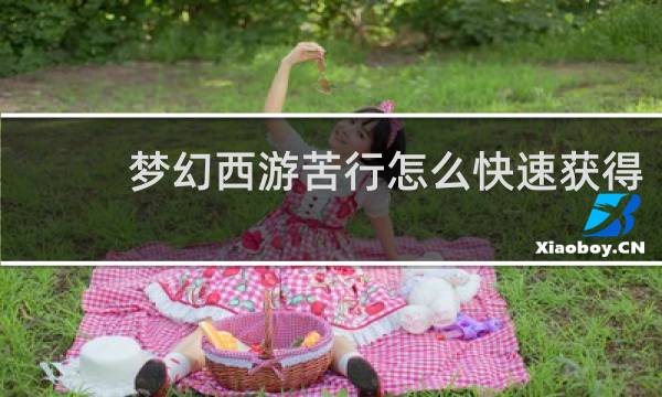 梦幻西游苦行怎么快速获得