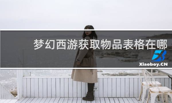 梦幻西游获取物品表格在哪