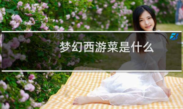 梦幻西游菜是什么