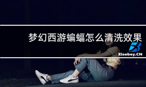 梦幻西游蝙蝠怎么清洗效果