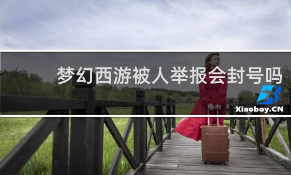 梦幻西游被人举报会封号吗