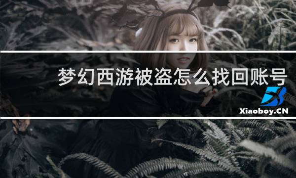 梦幻西游被盗怎么找回账号