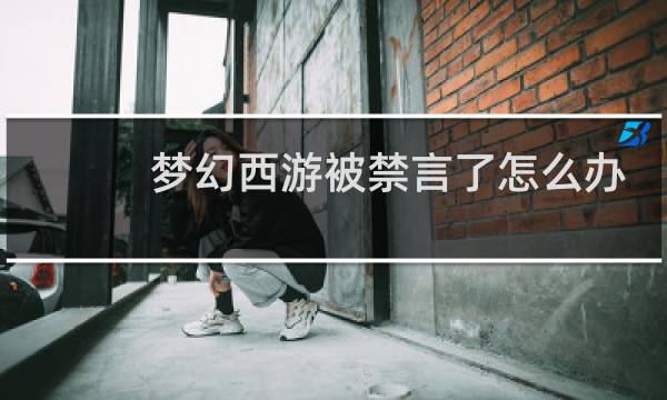 梦幻西游被禁言了怎么办