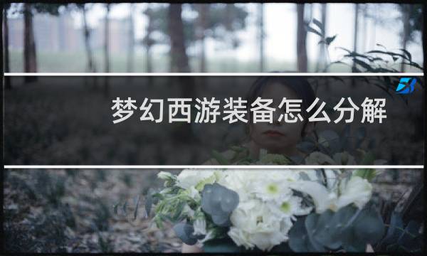 梦幻西游装备怎么分解