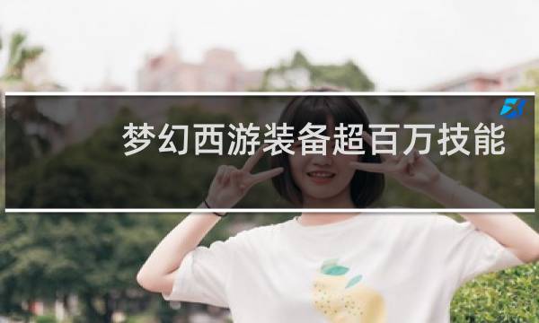 梦幻西游装备超百万技能