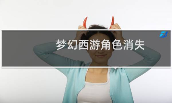 梦幻西游角色消失