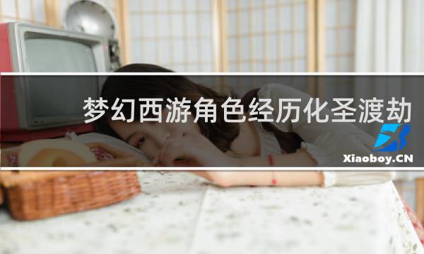 梦幻西游角色经历化圣渡劫