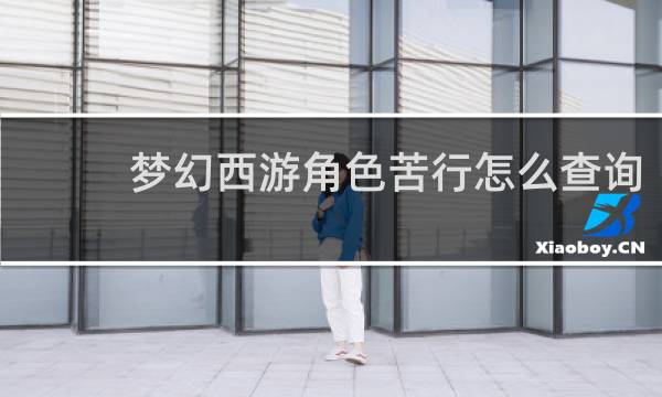 梦幻西游角色苦行怎么查询
