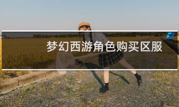 梦幻西游角色购买区服