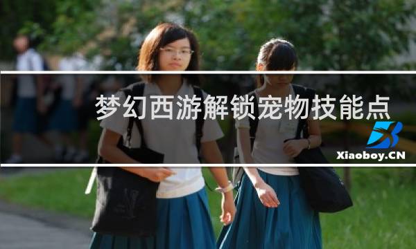 梦幻西游解锁宠物技能点
