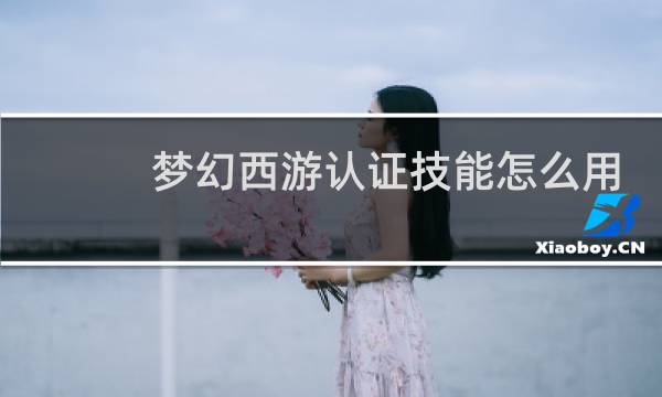 梦幻西游认证技能怎么用