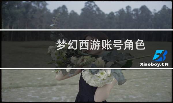 梦幻西游账号角色