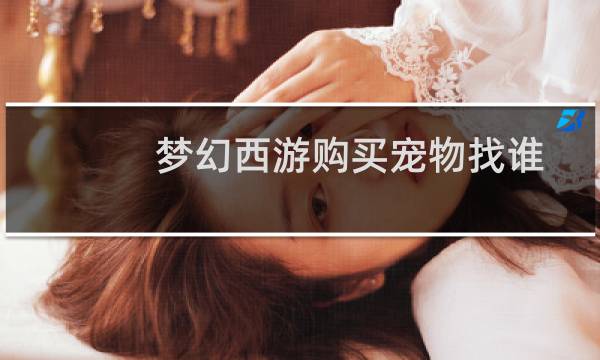 梦幻西游购买宠物找谁