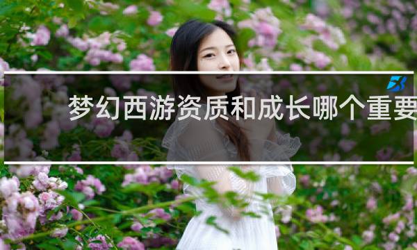 梦幻西游资质和成长哪个重要