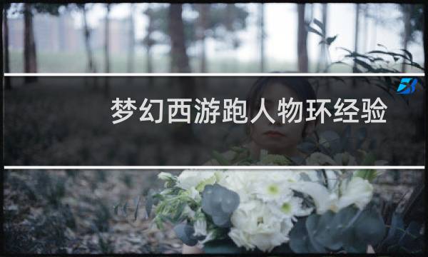 梦幻西游跑人物环经验