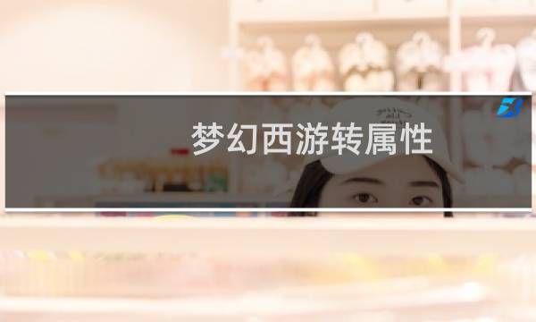 梦幻西游转属性
