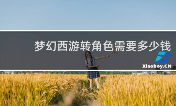 梦幻西游转角色需要多少钱