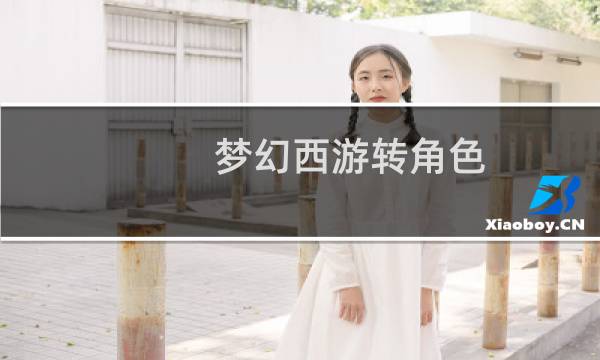 梦幻西游转角色