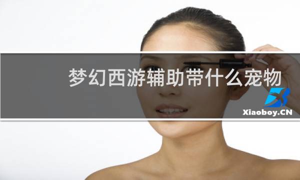 梦幻西游辅助带什么宠物