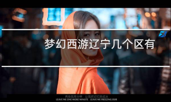 梦幻西游辽宁几个区有