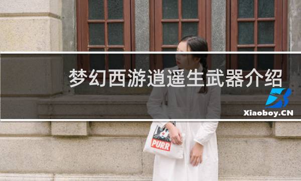 梦幻西游逍遥生武器介绍