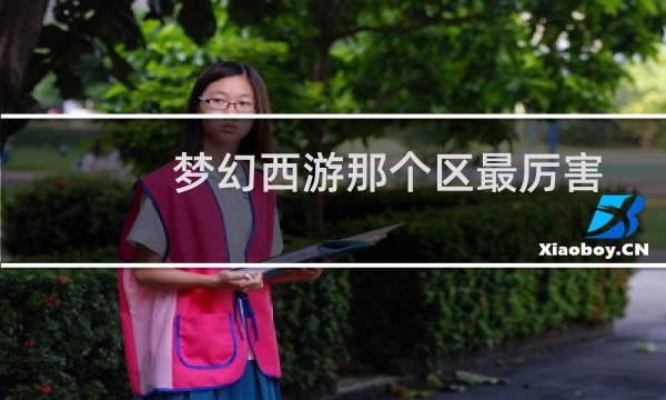 梦幻西游那个区最厉害