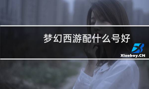 梦幻西游配什么号好